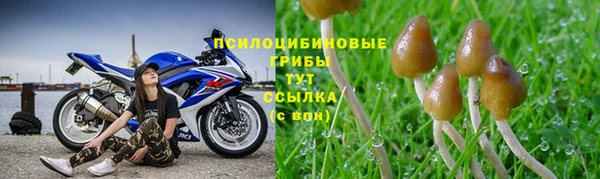 mdma Михайловск