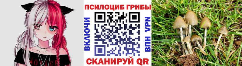 ОМГ ОМГ ONION Заволжье Галлюциногенные грибы GOLDEN TEACHER